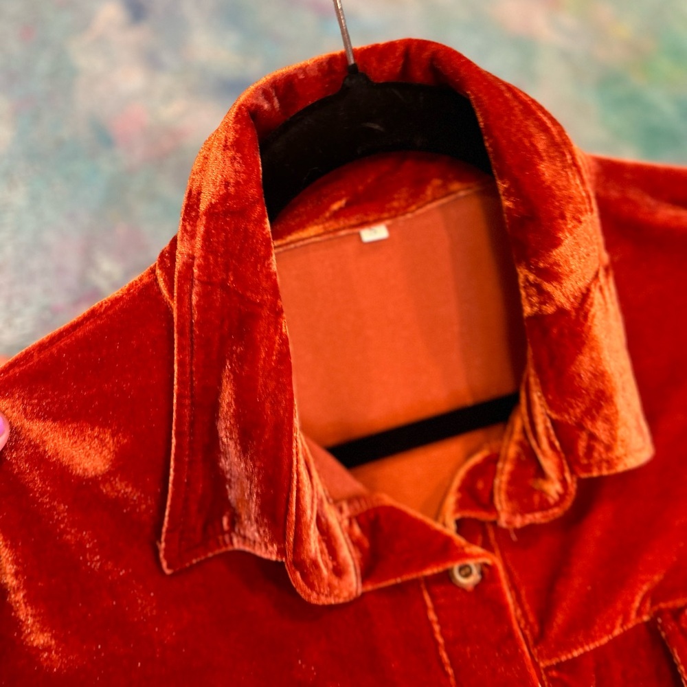 Rusty Velvet Prairie Dress - Picture 8 of 11